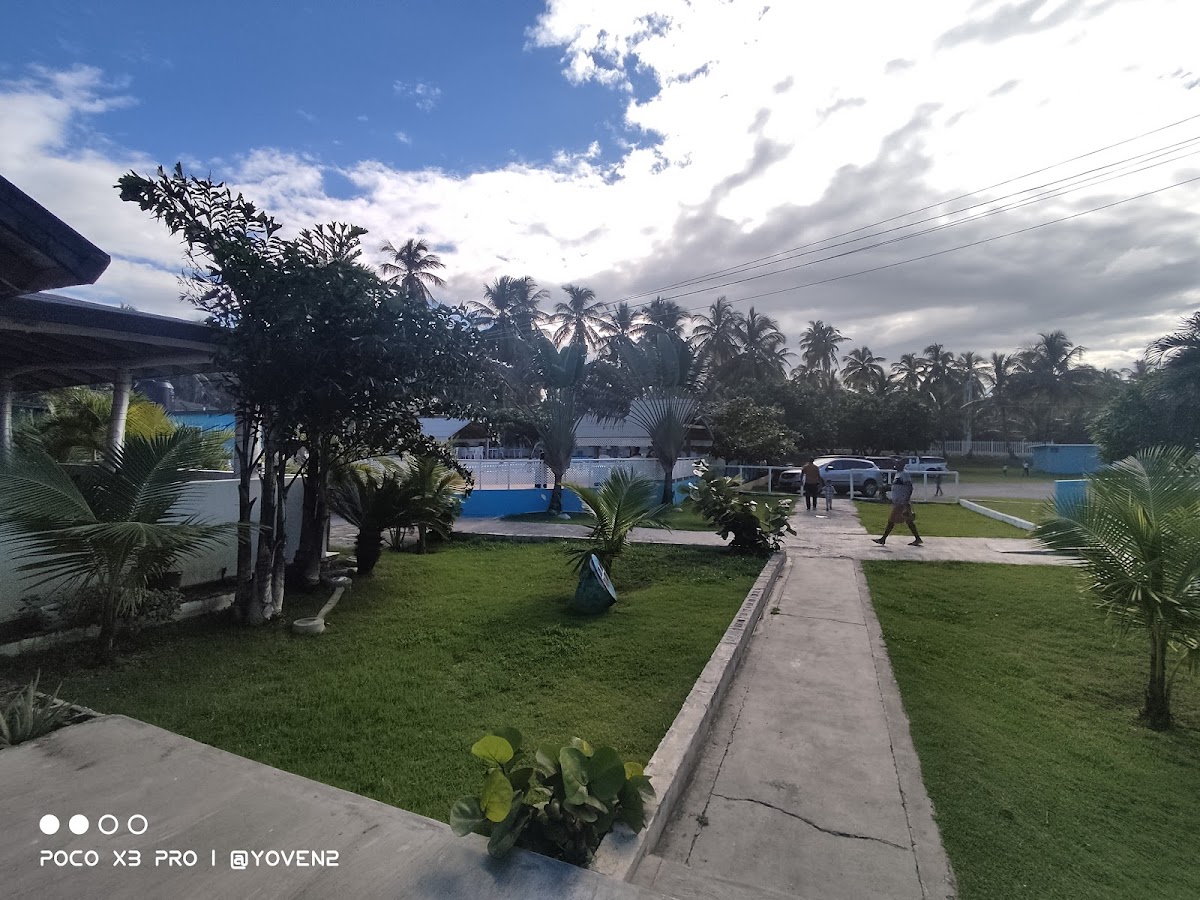 Restaurant Don Camaron-4