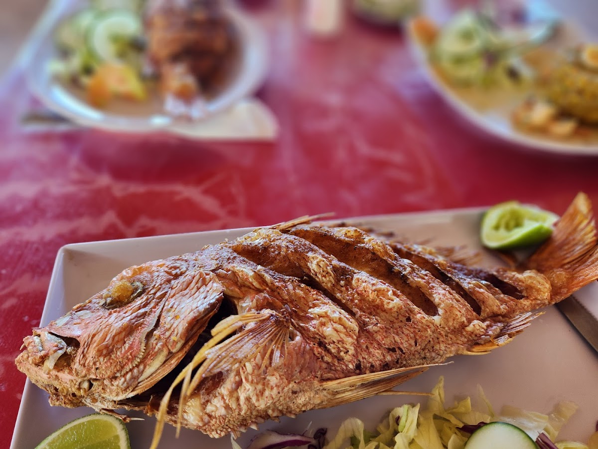 Restaurant Don Camaron-5