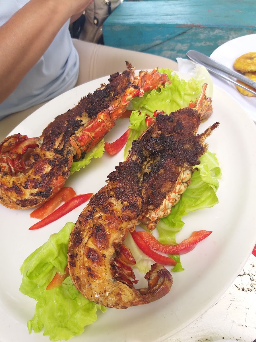 Restaurant Don Camaron-7